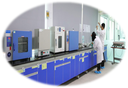 Testing Lab
